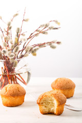Branches of a willow and biscuits on a light background