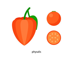 Orange physalis with green leaf and its cross - section
