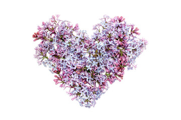 Lilac flowers in heart shape