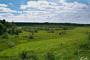 Fototapeta na wymiar Russian spring meadow.