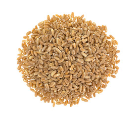 Top view of a portion of farro organic wheat on a white background