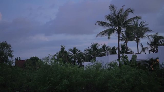 beautiful sunrise in Phuket, Thailand, palms and sky