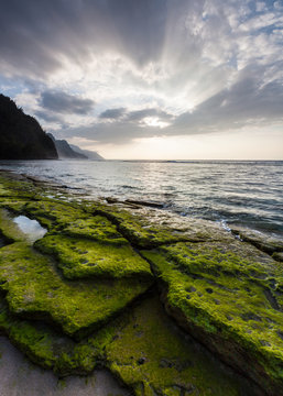Mossy Beach Na Pali Coast, Kauai, Hawaii