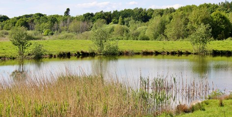 Beautiful panoramic view of small lake surrounded by wetland