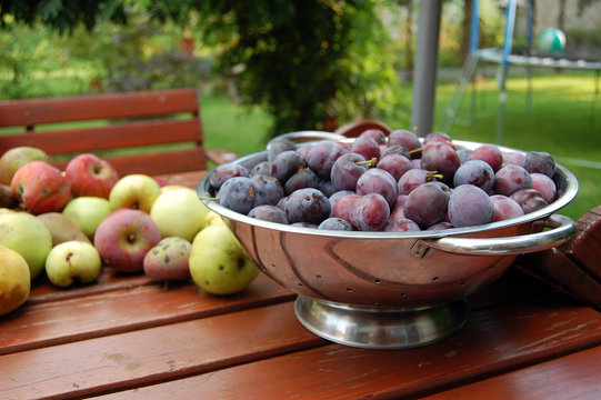 Plums and apples on the table