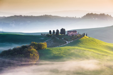 Misty sunrise on green hills in spring, Tuscany, Italy