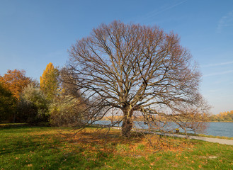 Fototapeta premium Autumnal landscape next to river
