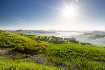 Fototapeta premium Misty sunrise in green farmland, Tuscany, Italy