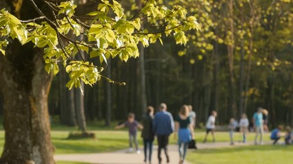 Blurred background of people activities in park with bokeh, spring and summer season