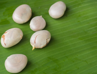 Seeds of a jackfruit on banana leave