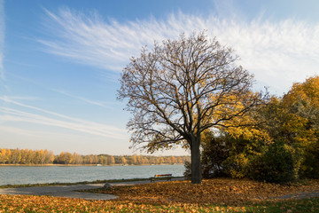 Fototapeta premium Autumnal landscape next to river