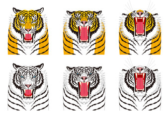 虎の表情　怒り　怒る