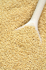 Amaranth seeds in wooden spoon