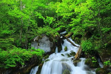 Naklejka premium 笛貫の滝