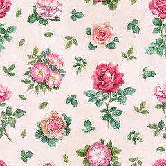Fototapety  Watercolor rose flowers illustration. Seamless pattern