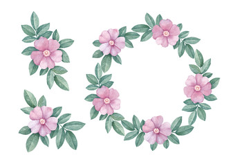 Watercolor wild rose illustrations