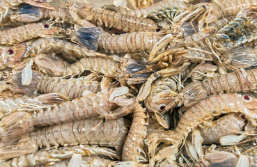 Prawns, fresh, chilled