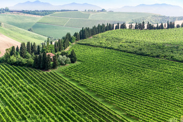 Fototapeta premium rural landscape