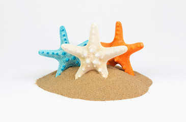 Beach with sand starfish and shells isolated over white