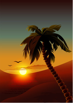 Palm tree on tropical island. Night romantic landscape