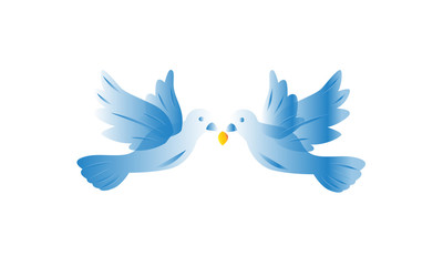 Food Birds Dove