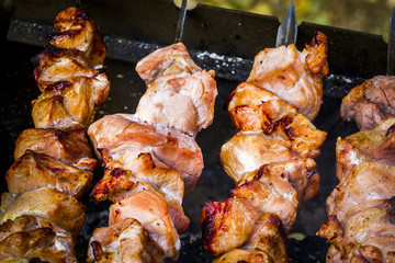 Shashlik-Meat baked on a skewer over hot coals.