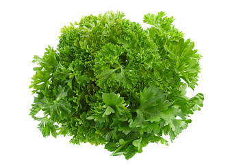 Parsley herb on white