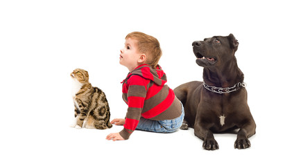 Boy, dog and cat sitting together looking up