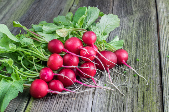 Detail on a Bunch of Radishes on a Old Wooden Board