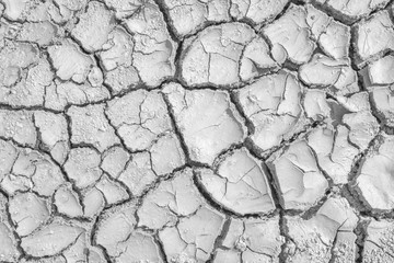 Crack surface pattern, Black and white soil cracked