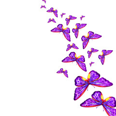 Obraz na płótnie Canvas watercolor flying violet butterflies on white background
