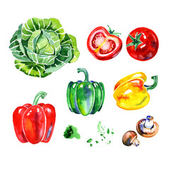 Premium quality watercolor icons set of various healthy food, herbs, mushrooms and vegetables. Hand drawn. Flat lay objects isolated on white background.