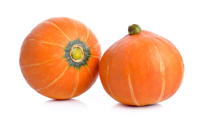 pumpkin on white  background