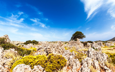 Summer in the Highlands, Crete
