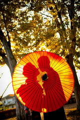 Traditional Japanese ceremony wedding lovely day, silhouettes of married couple holding red paper umbrella in hands, kissing under golden sunset in shrine temple garden, colorful maple ginkgo leaves