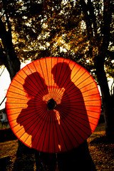 Traditional Japanese ceremony wedding lovely day, silhouettes of married couple holding red paper umbrella in hands, kissing under golden sunset in shrine temple garden, colorful maple ginkgo leaves