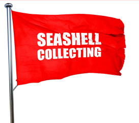 seashell collecting, 3D rendering, a red waving flag