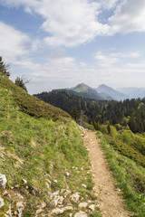 La Pinéa - Massif de la Chartreuse - Isère.