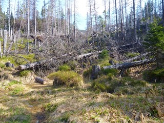 Tatry mountains in Slovakia in the spring
