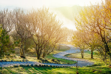 Fototapeta premium Rock path under beautiful morning sunrise, dramatic cloud of sea and Yushan mounatin with bright blue sky in Alishan(Ali mountain) National Park, Taiwan