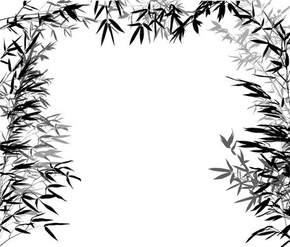 black and grey bamboo branches frame isolated on white
