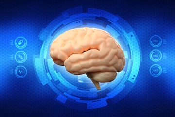 Human brain 3d illustration