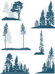 set of blue pine and fir trees on white