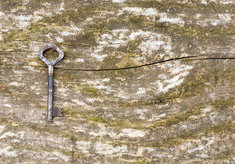 Old skeleton key