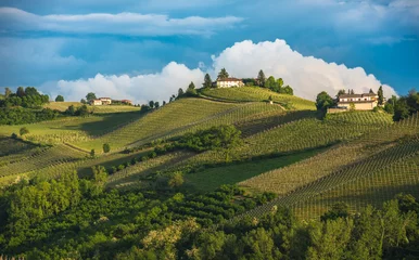 Wandcirkels tuinposter Vineyards of Langhe, Piedmont, UNESCO world heritage © javarman