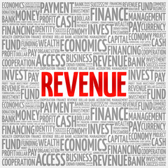 REVENUE word cloud, business concept