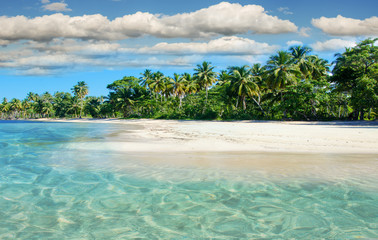 Traumurlaub an einem einsamen Strand in der Karibik :)