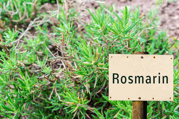 Kräuter Rosmarin Schild