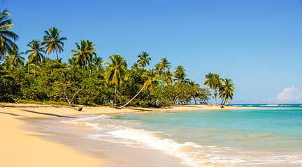 Traumurlaub an einem einsamen Strand in der Karibik :)