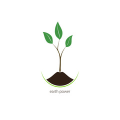 Earth Power, Sprout , a Young Shoot Isolated on a White Background , Plant Shoot Growing Up out of the Land, Vector Illustration